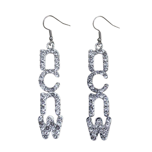 Bling drop earrings (silver or gold trim) - NCNW